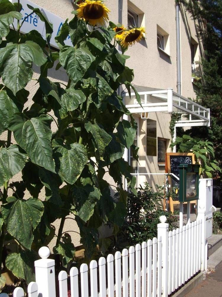 Pension & Cafe Am Kraehenberg Halle  Εξωτερικό φωτογραφία